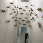 Музей сучасного мистецтва DOX - Прага - Чехія