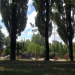 Бабин яр - Київ - Україна