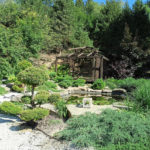 Ботанічний сад ім. Гришка - Київ - Україна