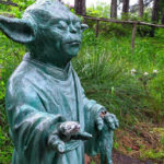 Ботанічний сад ім. Гришка - Київ - Україна