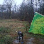 Лиса гора - Київ - Україна