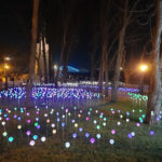 Володимирська гірка - Київ - Україна