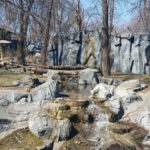 Київський зоопарк - Київ - Україна