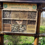 Київський зоопарк - Київ - Україна