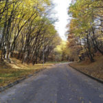 Парк Погулянка - Львів - Україна