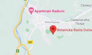 Розташування Ботанічного саду на карті