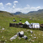 Гора Синяєвина - Мойковац - Чорногорія