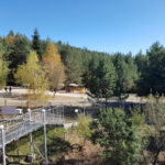 Парк танцюючих ведмедів - Бансько - Болгарія