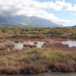 Заповідник «Тиватська соліла» - Тиват - Чорногорія