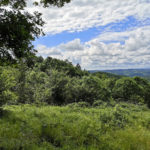 Природний парк Странджа - Ахтополь - Болгарія