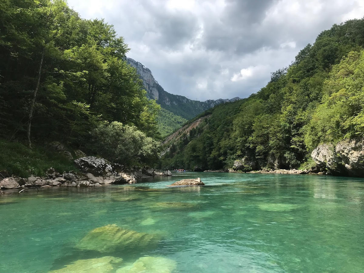 Каньйон річки Тари - Чорногорія