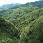 Каньйон річки Тари - Чорногорія