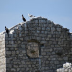 Руїни фортеці Грможур - Вірпазар - Чорногорія