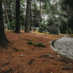 Великий міський парк - Тиват - Чорногорія