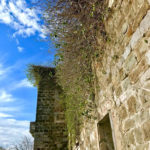 Дім Верона - Тиват - Чорногорія