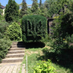 Ботанічний сад УжНУ - Ужгород - Україна