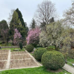 Ботанічний сад УжНУ - Ужгород - Україна