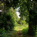 Ботанічний сад УжНУ - Ужгород - Україна