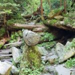 Водоспад Женецький Гук - Яремче - Україна