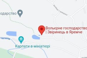 Розташування Міні-зоопарку на карті