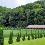 Гошівский монастир Сестер Пресвятої Родини - Долина - Україна