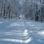 Курортний парк - Трускавець - Україна