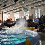 Дельфінарій 