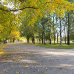 Парк Перемоги в Ризі - Рига - Латвія