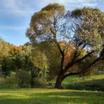 Парк Перемоги в Ризі - Рига - Латвія