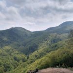 Національний природний парк 