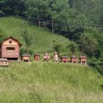 Національний природний парк 