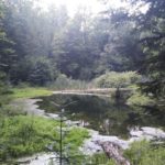 Озеро Лебедин - Косів - Івано-Франківськ - Україна