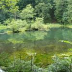 Озеро Лебедин - Косів - Івано-Франківськ - Україна