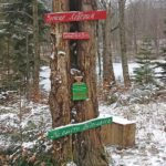 Озеро Лебедин - Косів - Івано-Франківськ - Україна