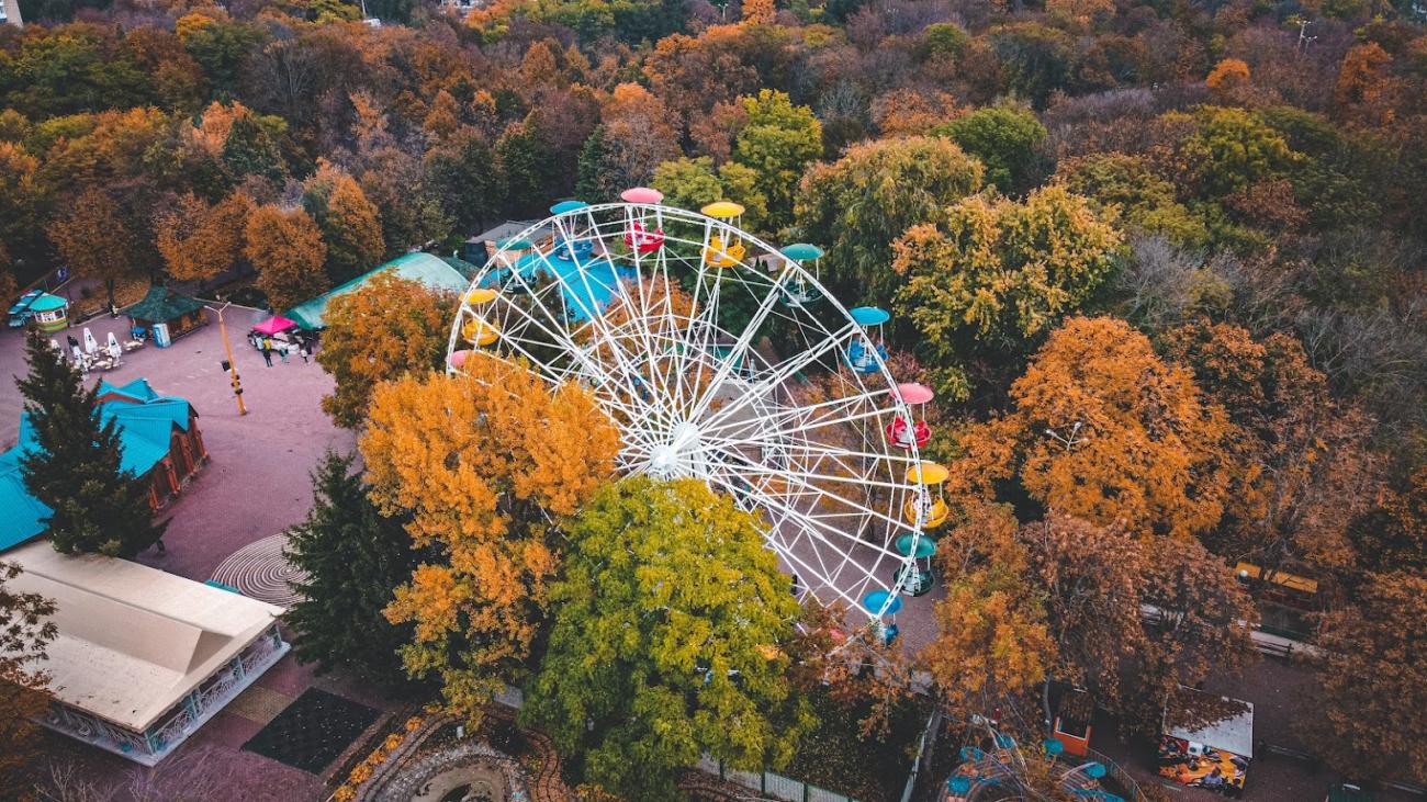 Дендропарк в москве фото