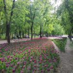 Дендропарк - Кропивницький - Україна