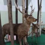 Вінницький обласний краєзнавчий музей - Вінниця - Україна