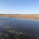 Білосарайський орнітологічний заповідник - Білосарайська Коса - Україна