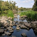 Голова Чацького - Житомир - Україна