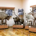 Житомирський обласний краєзнавчий музей - Житомир - Україна