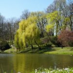 Ботанічний сад - Люблін - Польща