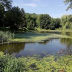 Ботанічний сад - Люблін - Польща