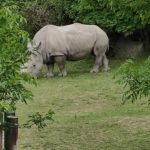 Братиславський зоопарк - Братислава - Словаччина