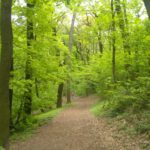 Гірський парк - Братислава - Словаччина