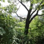 Гірський парк - Братислава - Словаччина