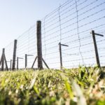 Майданек - Люблін - Польща