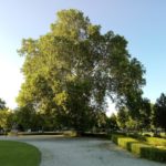 Сад Грассалковичів - Братислава - Словаччина