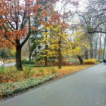 Саксонський сад - Люблін - Польща