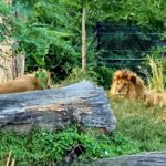 Загребський зоопарк - Загреб - Хорватія