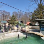 Загребський зоопарк - Загреб - Хорватія